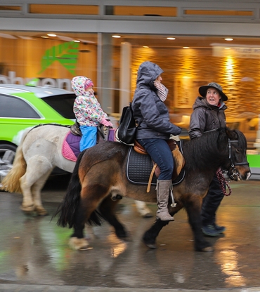 Das Ponyreiten erfreute grosse und kleine Besucher. (Gaby Kost)