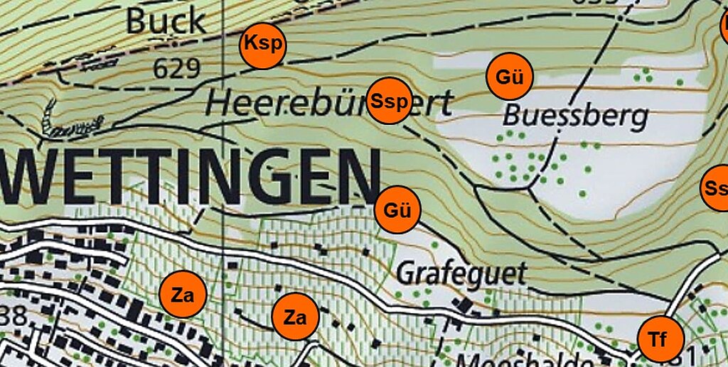 Die orangen Punkte auf der Brutvogelkarte 2018 stehen für eine sichere oder mögliche Brut der Art. «Gü» steht für Grünspecht, «Ksp» bedeutet Kleinspecht, «Ssp» sind Schwarzspechte, «Tf» steht für Turmfalke, «Za» bedeutet Zaunammer. zVg
