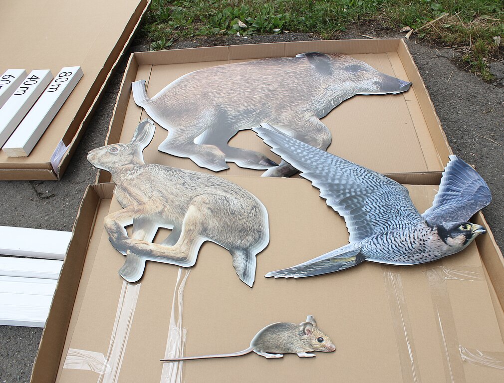 Diese Tierfiguren sind Teil der Installation «Wettlauf». Sie sind aus Aluminium.