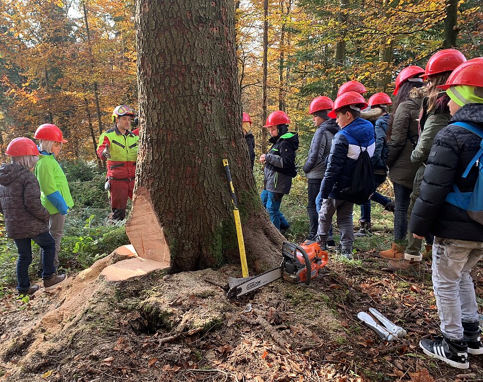 Im Wald <em>konnten die Kinder zusehen, wie ein Baum gefällt wird.zVg</em>